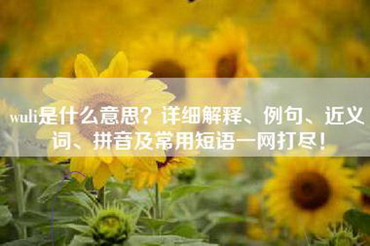 wuli是什么意思？详细解释、例句、近义词、拼音及常用短语一网打尽！