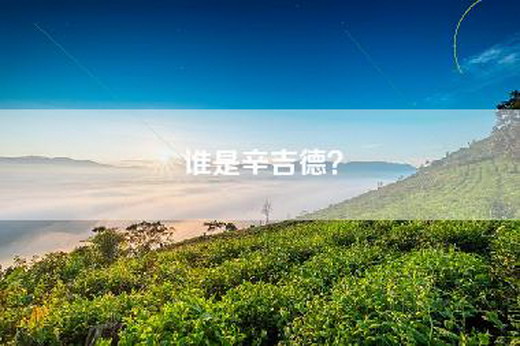 谁是辛吉德？