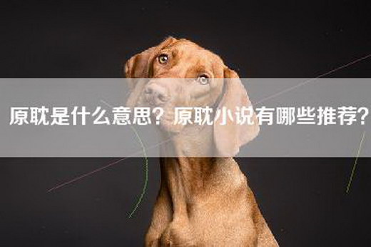 原耽是什么意思？原耽小说有哪些推荐？