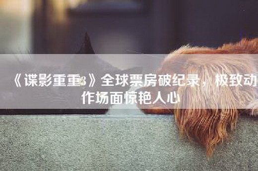 《谍影重重3》全球票房破纪录，极致动作场面惊艳人心