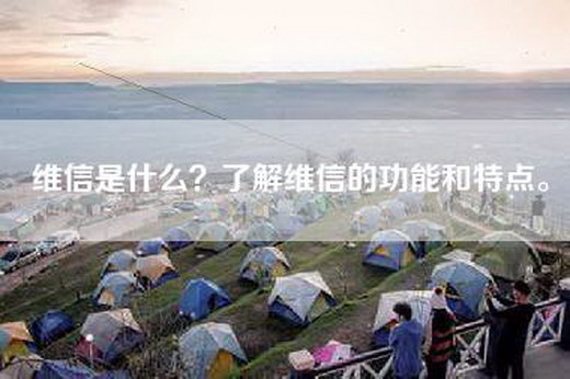 维信是什么？了解维信的功能和特点。