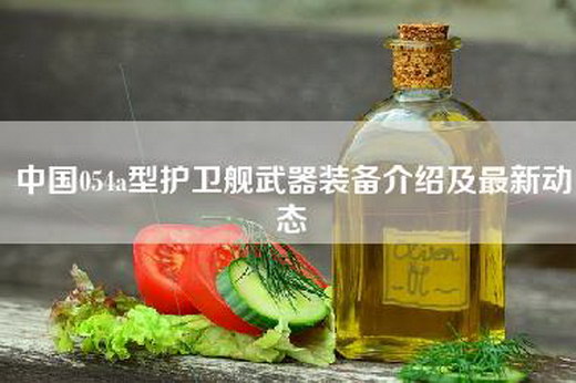 中国054a型护卫舰武器装备介绍及最新动态