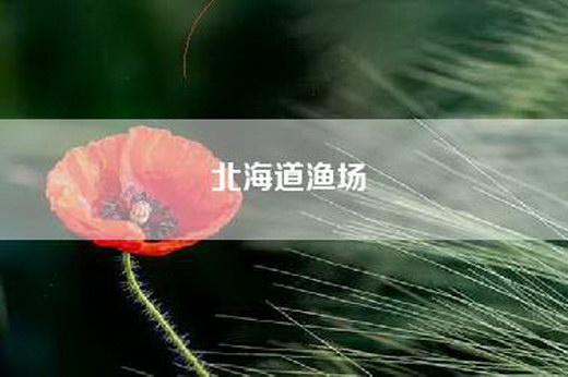 北海道渔场