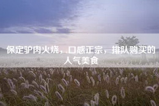 保定驴肉火烧，口感正宗，排队购买的人气美食
