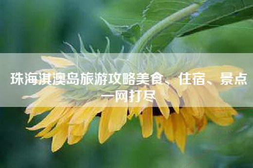 珠海淇澳岛旅游攻略美食、住宿、景点一网打尽