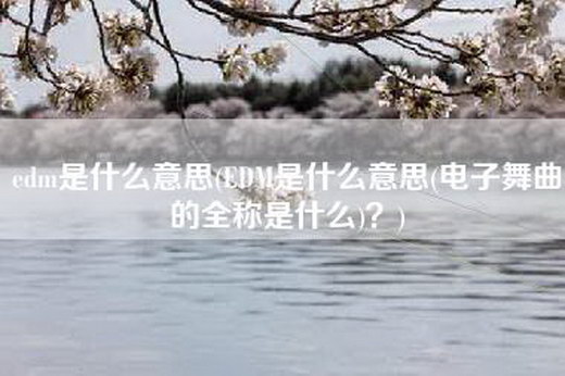 edm是什么意思(EDM是什么意思(电子舞曲的全称是什么)？)