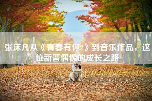 张沫凡从《青春有你2》到音乐作品，这位新晋偶像的成长之路