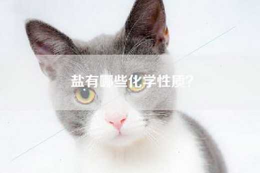 盐有哪些化学性质？