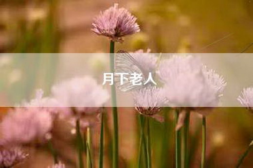 月下老人