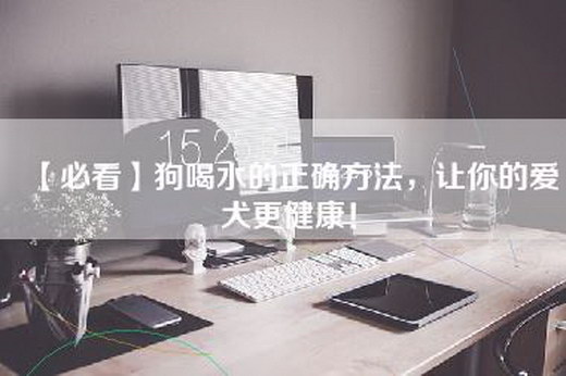 【必看】狗喝水的正确方法，让你的爱犬更健康！
