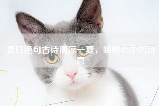 夏日绝句古诗清凉一夏，唤醒心中的诗意