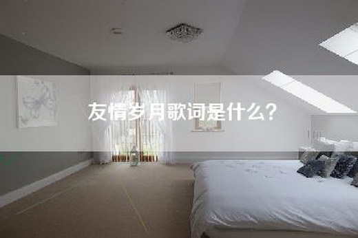 友情岁月歌词是什么？