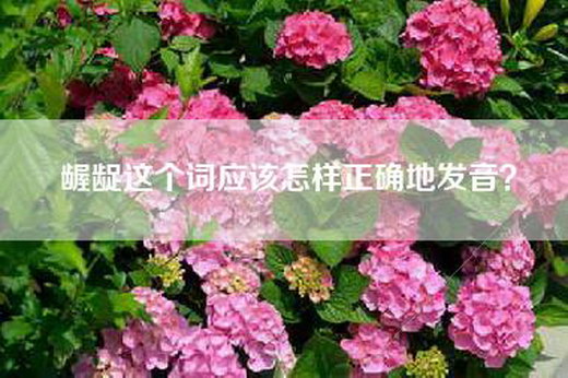 龌龊这个词应该怎样正确地发音？