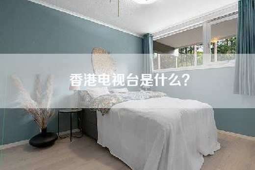 香港电视台是什么？