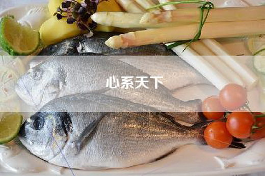 心系天下