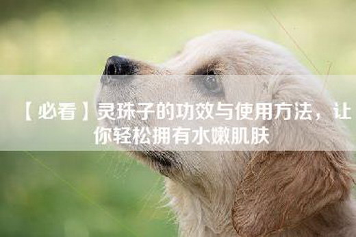 【必看】灵珠子的功效与使用方法，让你轻松拥有水嫩肌肤