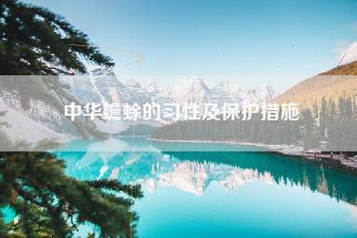 中华蟾蜍的习性及保护措施