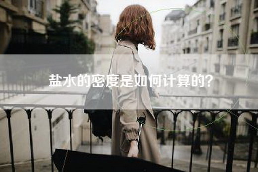 盐水的密度是如何计算的？