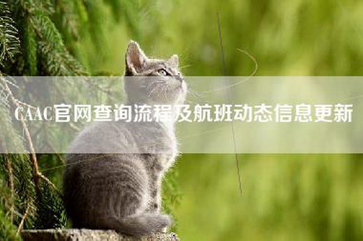 CAAC官网查询流程及航班动态信息更新