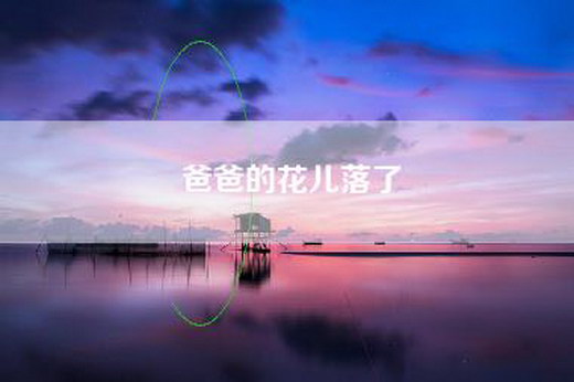爸爸的花儿落了