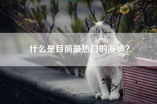 什么是目前最热门的漫画？