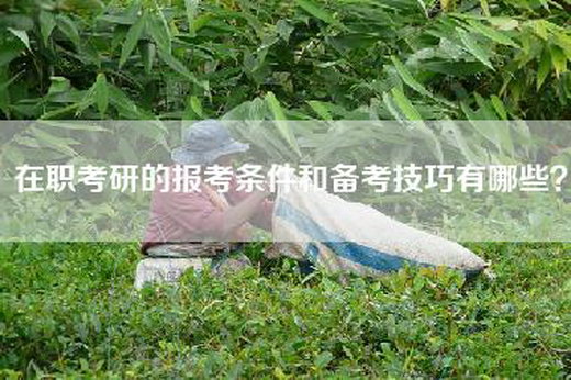 在职考研的报考条件和备考技巧有哪些？