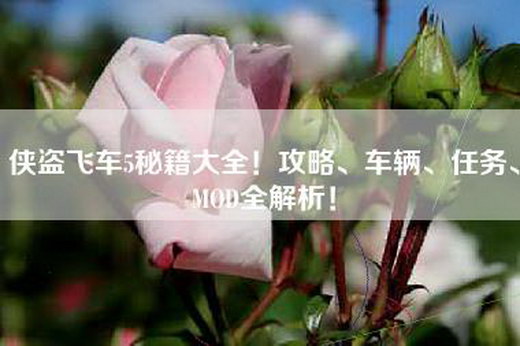 侠盗飞车5秘籍大全！攻略、车辆、任务、MOD全解析！