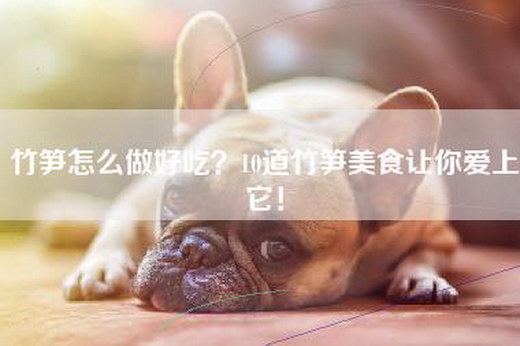 竹笋怎么做好吃？10道竹笋美食让你爱上它！