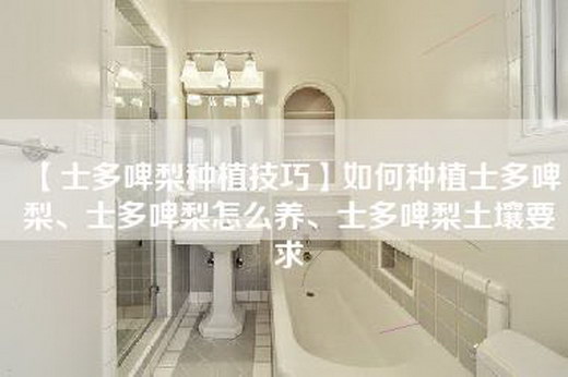【士多啤梨种植技巧】如何种植士多啤梨、士多啤梨怎么养、士多啤梨土壤要求