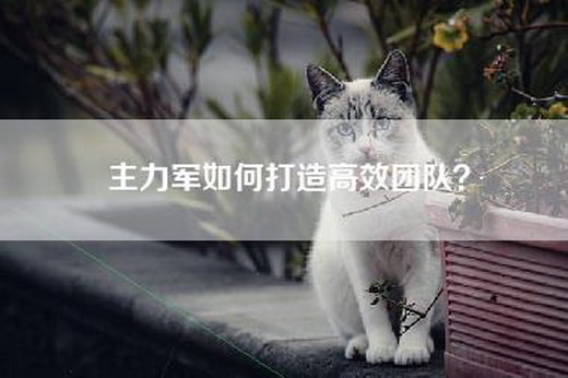 主力军如何打造高效团队？
