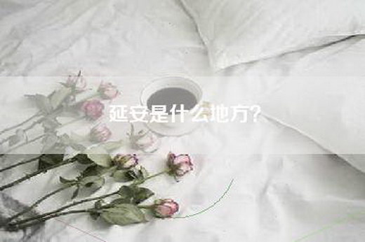 延安是什么地方？