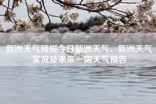 新洲天气预报今日新洲天气、新洲天气实况及未来一周天气预告