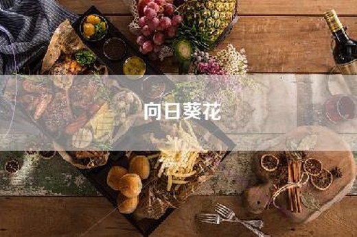 向日葵花