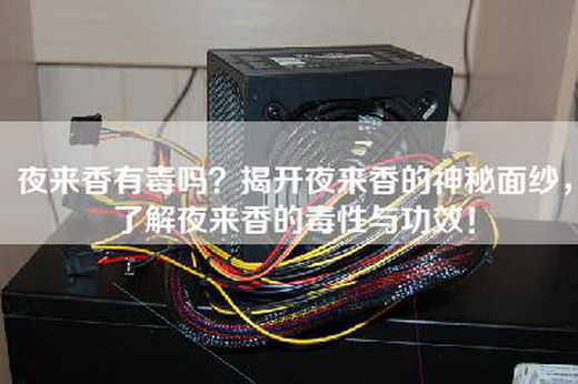 夜来香有毒吗？揭开夜来香的神秘面纱，了解夜来香的毒性与功效！