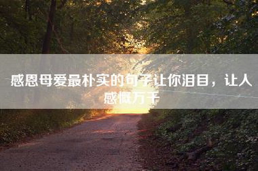 感恩母爱最朴实的句子让你泪目，让人感慨万千