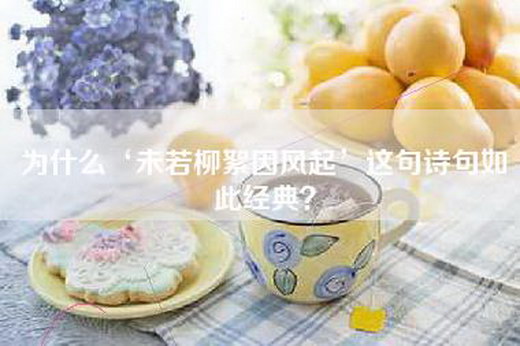 为什么‘未若柳絮因风起’这句诗句如此经典？