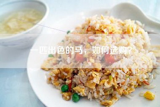 一匹出色的马，如何选购？