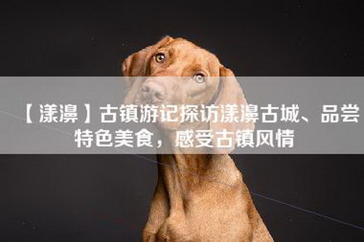 【漾濞】古镇游记探访漾濞古城、品尝特色美食，感受古镇风情