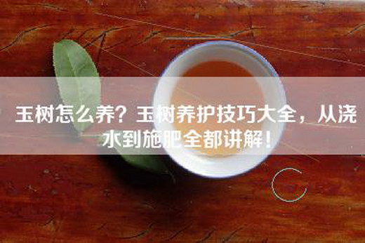 玉树怎么养？玉树养护技巧大全，从浇水到施肥全都讲解！