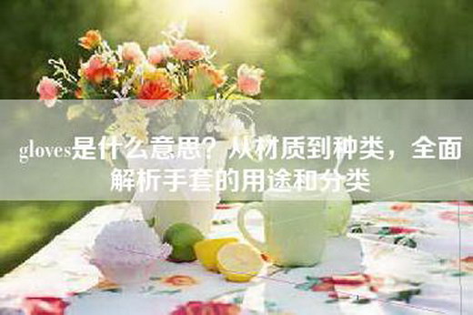 gloves是什么意思？从材质到种类，全面解析手套的用途和分类