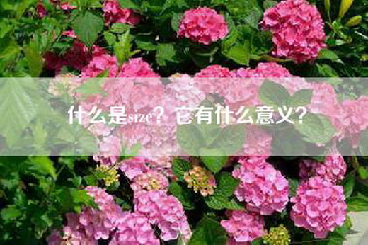 什么是size？它有什么意义？