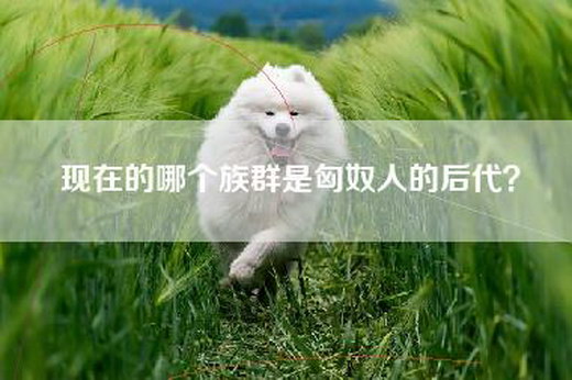 现在的哪个族群是匈奴人的后代？