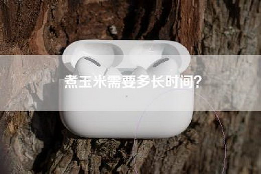 煮玉米需要多长时间？