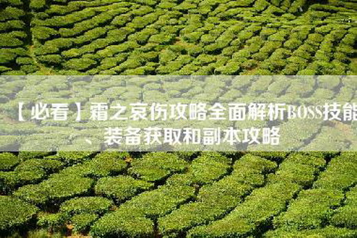 【必看】霜之哀伤攻略全面解析BOSS技能、装备获取和副本攻略