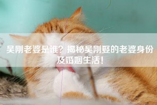 吴刚老婆是谁？揭秘吴刚娶的老婆身份及婚姻生活！