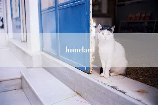 homeland