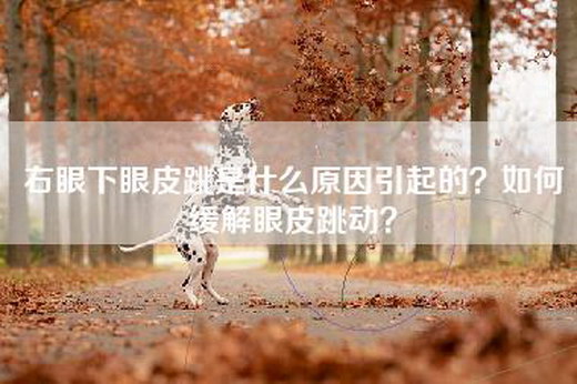 右眼下眼皮跳是什么原因引起的？如何缓解眼皮跳动？