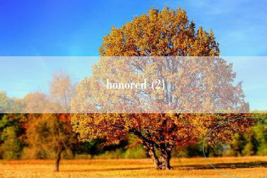 honored (2)