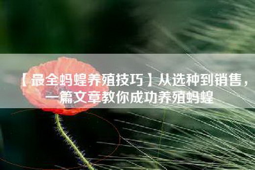【最全蚂蝗养殖技巧】从选种到销售，一篇文章教你成功养殖蚂蝗