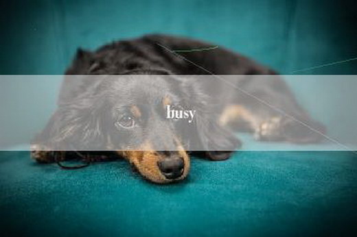 busy